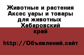 Животные и растения Аксесcуары и товары для животных. Хабаровский край